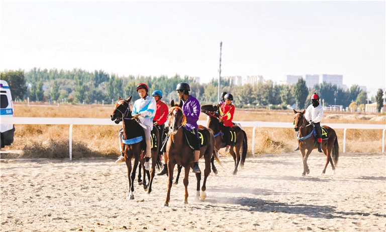 2024蒙古马竞技大赛在包头开赛