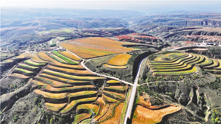 “三跑地” 变身“三保田”