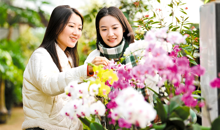 果蔬花卉 助农增收