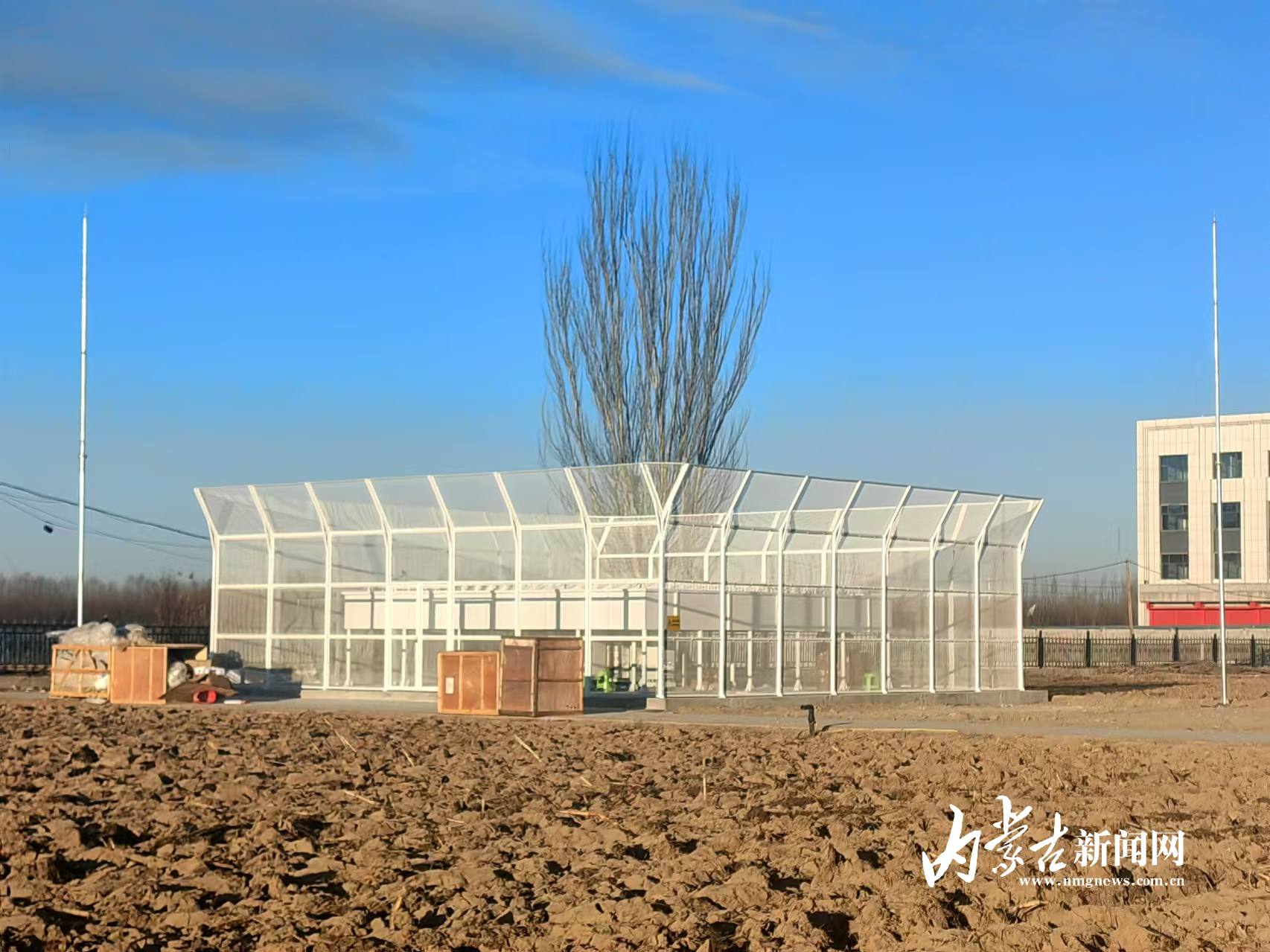 mmexport1735894832253.jpg mmexport1735894832253.jpg