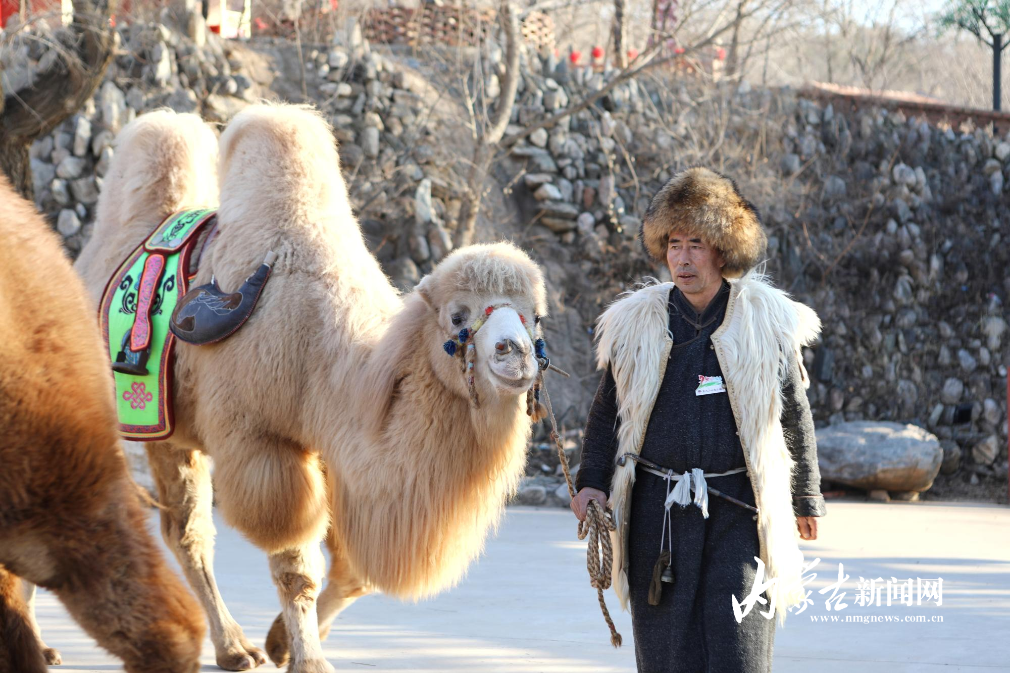 mmexport1737726033773-01.jpeg mmexport1737726033773-01.jpeg