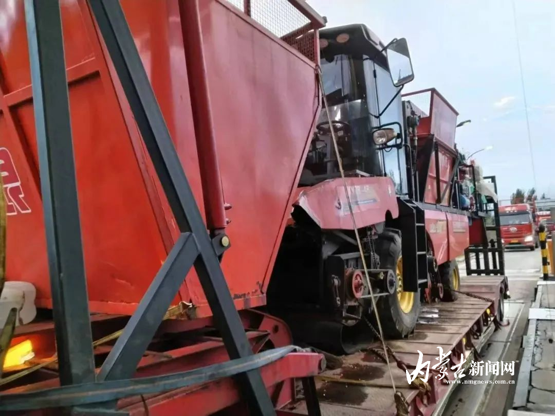 mmexport9f6949aac2a3f16ba658610aea9f9064_1741946985427.jpeg mmexport9f6949aac2a3f16ba658610aea9f9064_1741946985427.jpeg