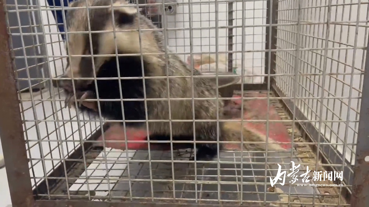 MEITU_20250416_172653257.jpg MEITU_20250416_172653257.jpg