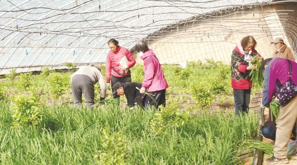 特色农业绽光彩