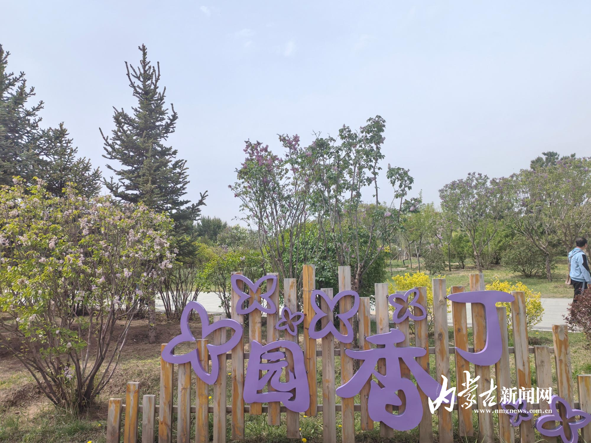 丁香园 IMG_20250512_103631.jpg