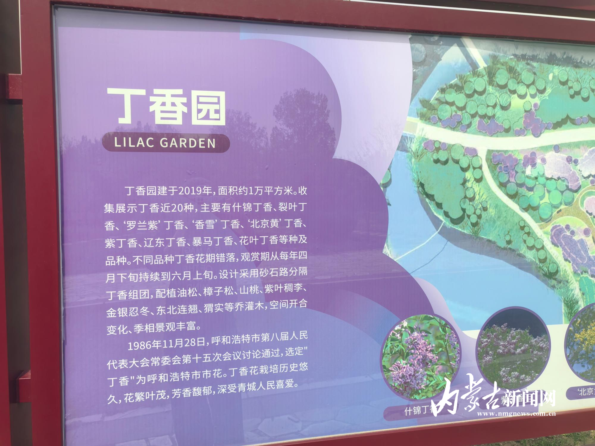 丁香园简介 IMG_20250512_103744.jpg