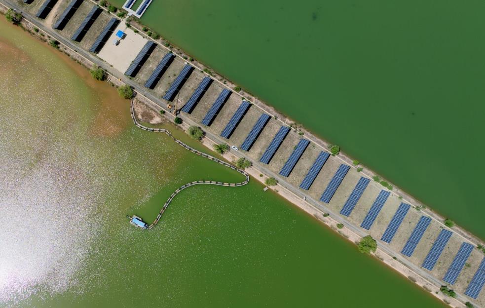 黄河初夏风光