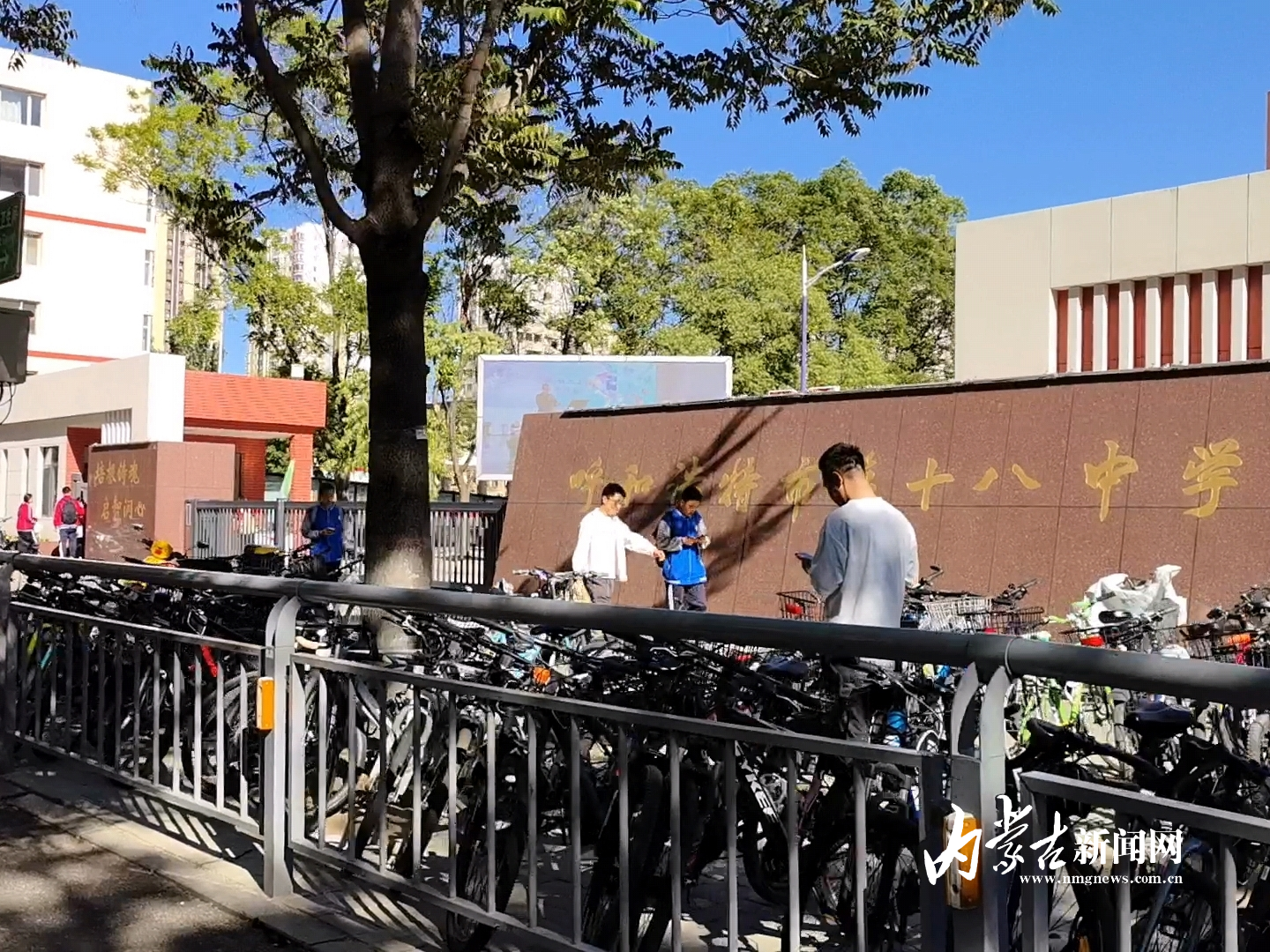 MEITU_20250604_082314680.jpg MEITU_20250604_082314680.jpg