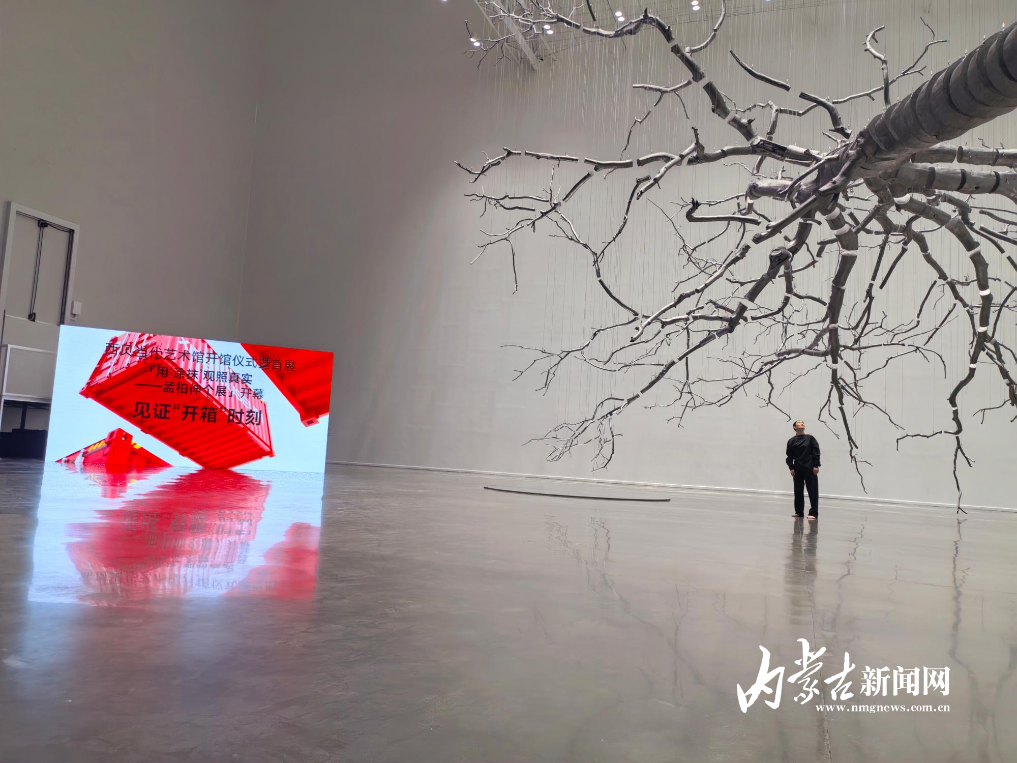 见证“开箱时刻” IMG_20250615_153948.jpg