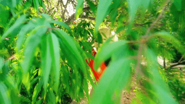 第一期 v17 - 调色画面202563011564613.gif