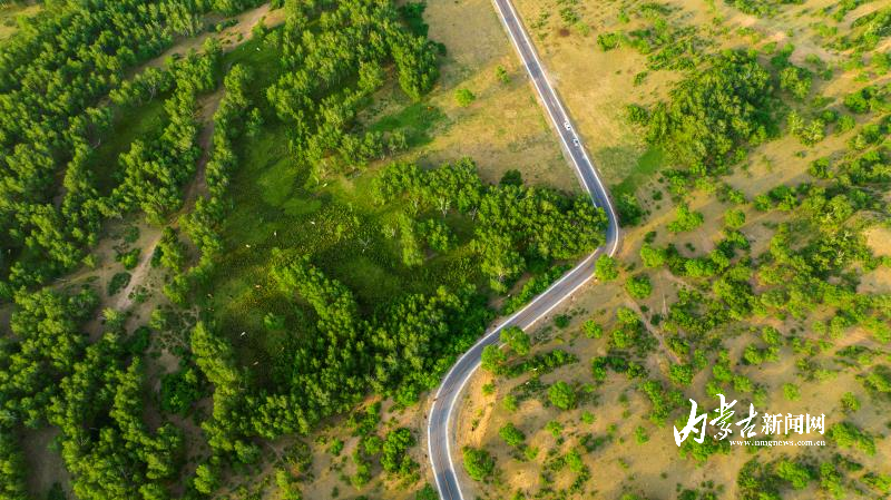 mmexport1752058330021.jpg mmexport1752058330021.jpg