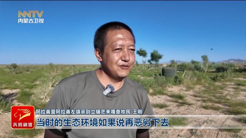 鏖战“三北” 共筑绿色长城（二）丨绿锁黄龙：锁住沙漠咽喉的“百万雄兵”