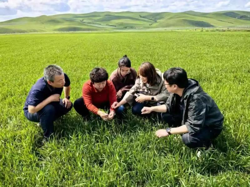 科技“突围”赋能 新业“赛道”启航