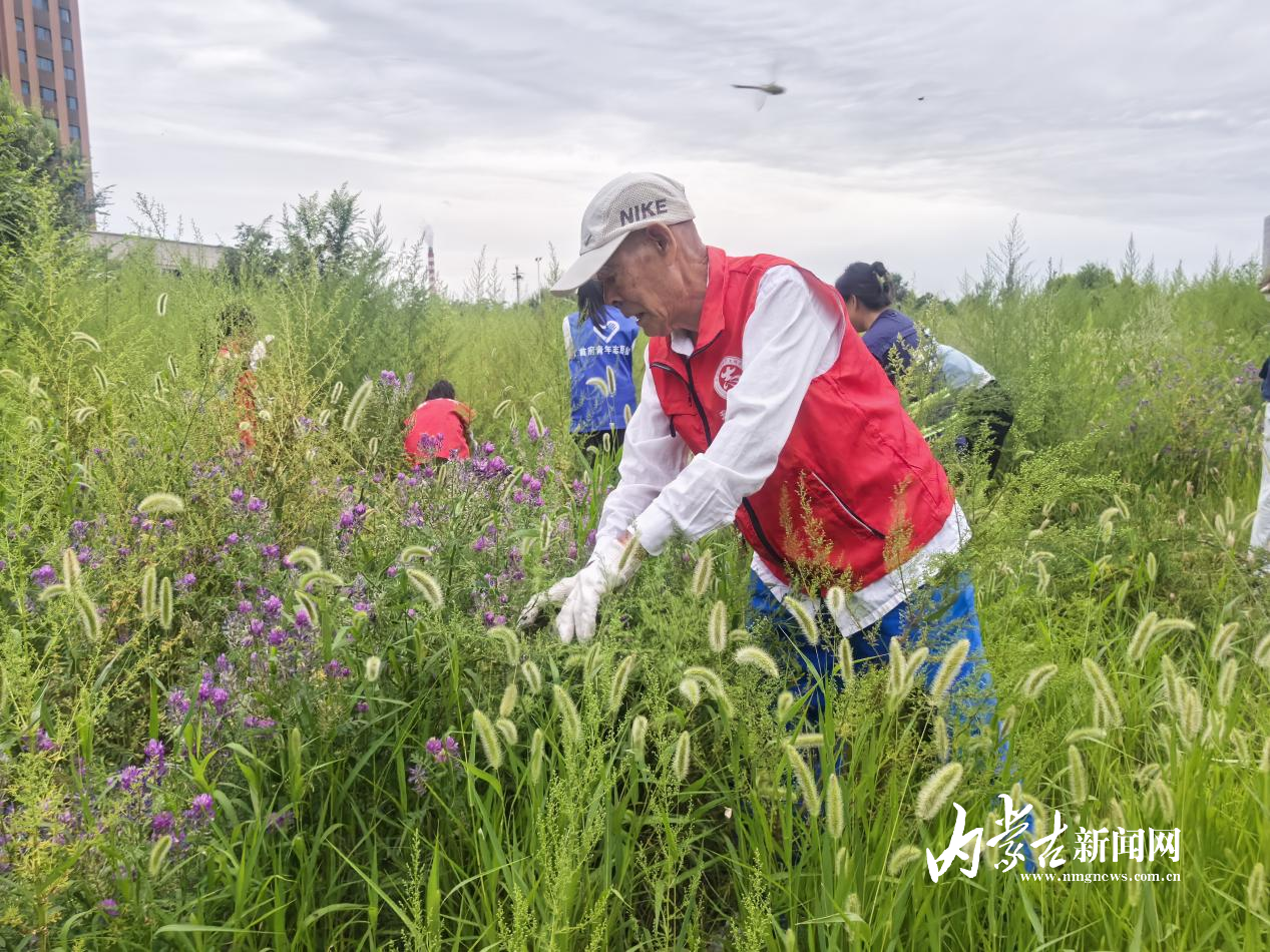 20250808_182033.jpeg 20250808_182033.jpeg