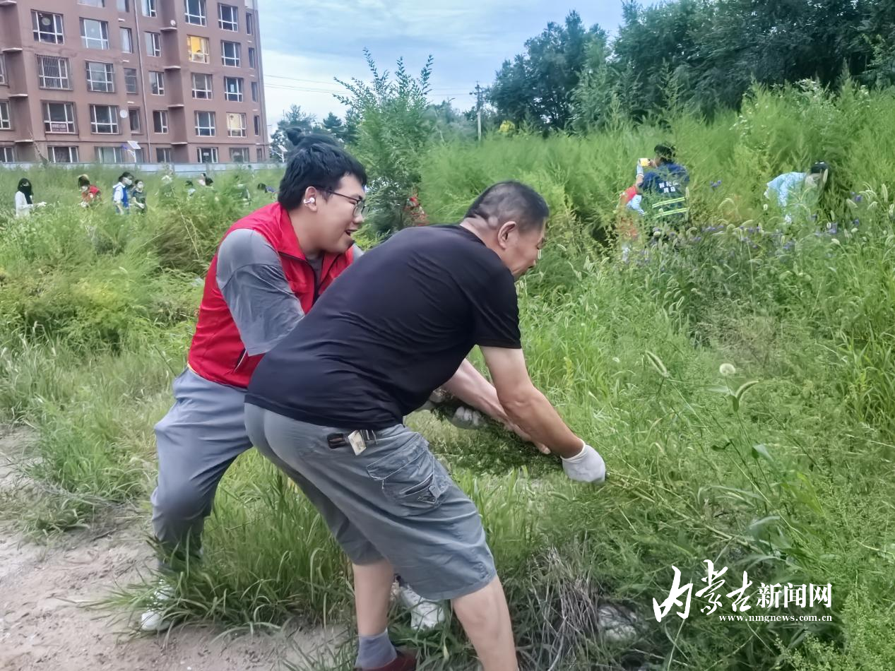 20250808_182046.jpeg 20250808_182046.jpeg