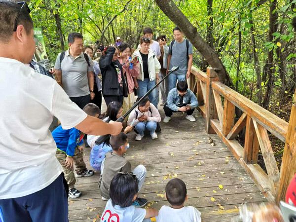 阿尔山“花栗鼠饲养员”曹志新：与鼠为伴 守护绿林中的温暖