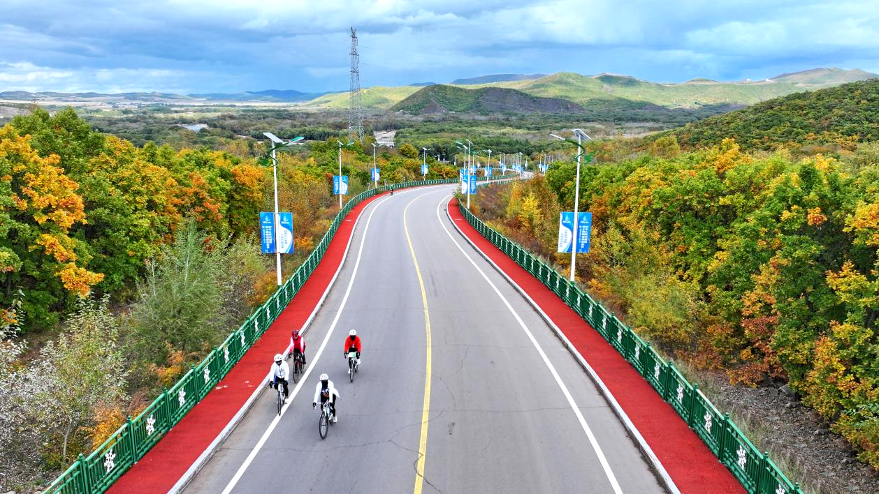 内蒙古扎兰屯：乡村公路美如画
