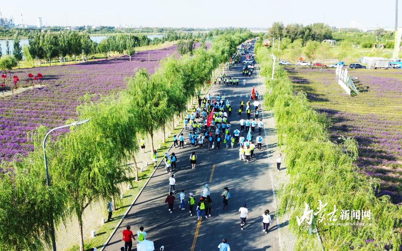 mmexport1759059367985.jpg mmexport1759059367985.jpg