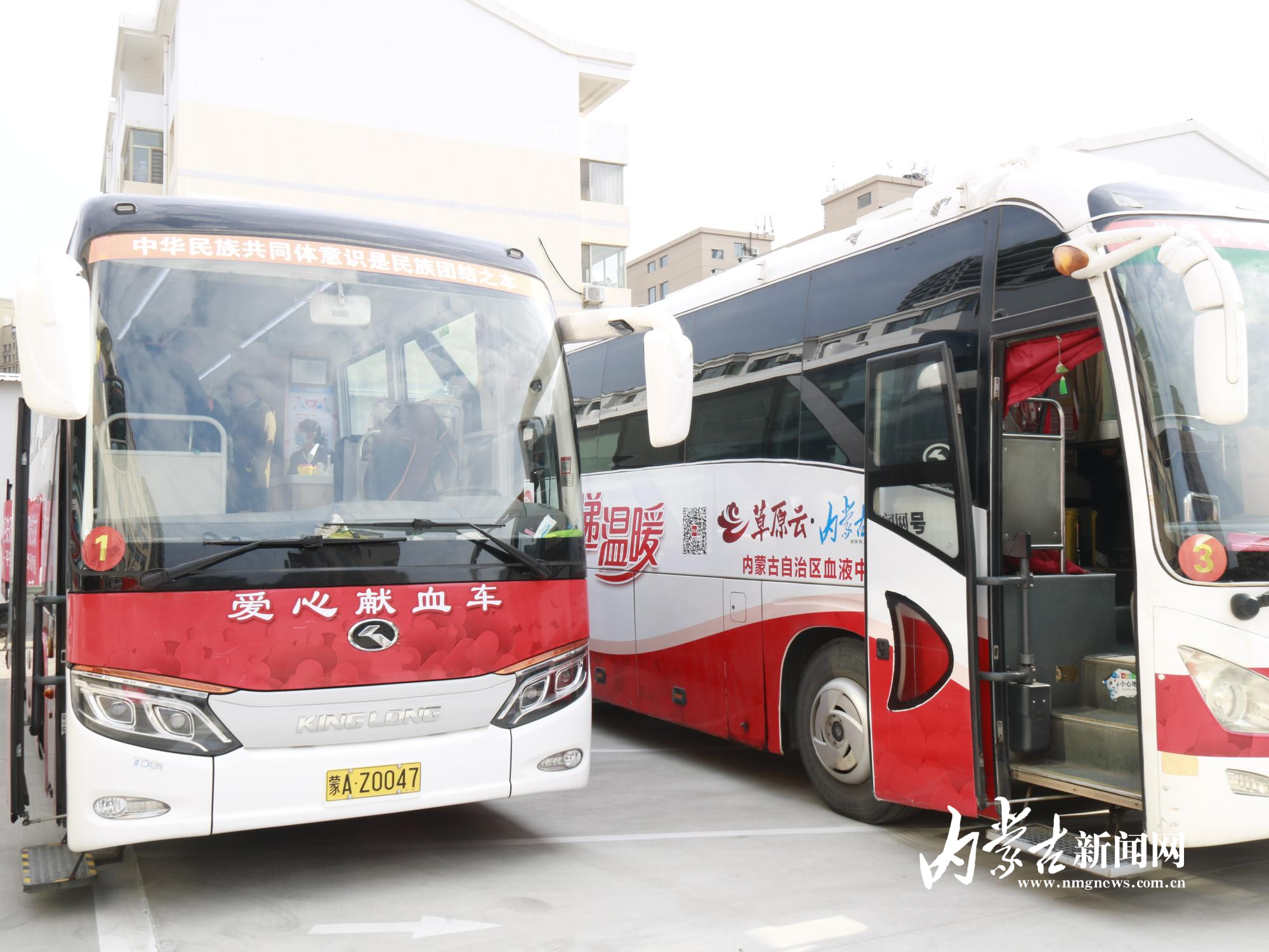 mmexport1762245090571.jpg mmexport1762245090571.jpg