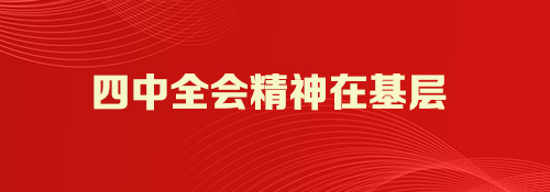 【专题】四中全会精神在基层