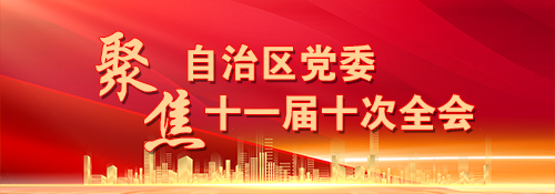 【专题】聚焦自治区党委十一届十次全会