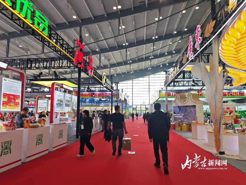 IMG_20251114_100426.jpg IMG_20251114_100426.jpg