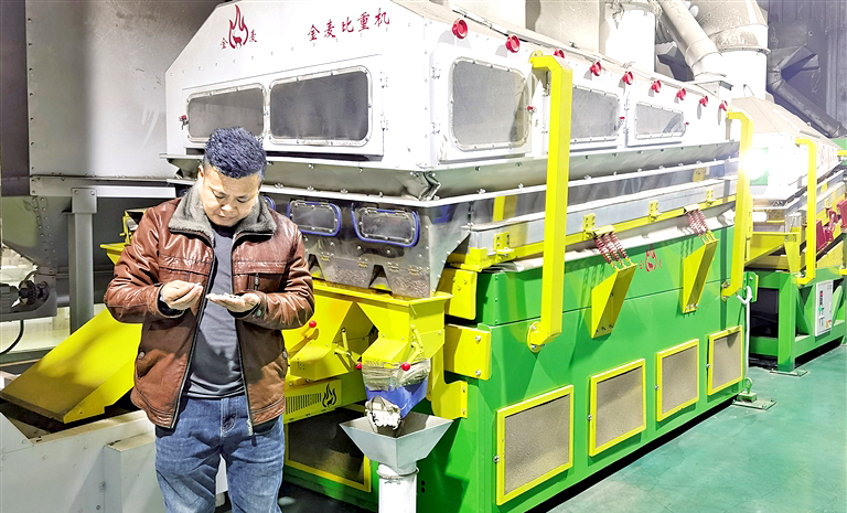 “中国葵”叫响国际市场