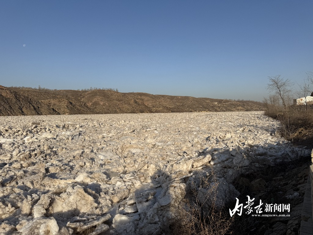 mmexport1765178633708.jpg mmexport1765178633708.jpg