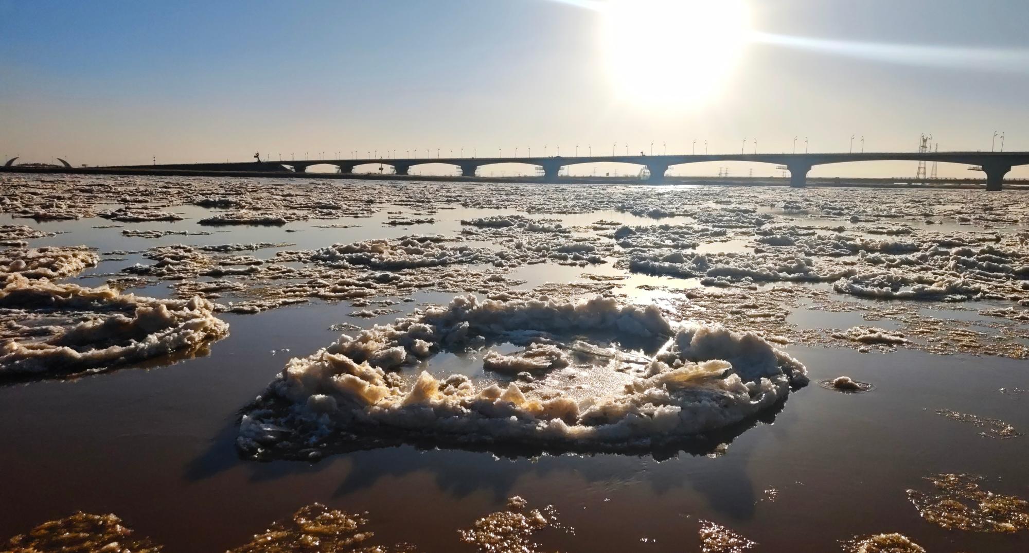 黄河包头段迎来年度最壮观流凌盛景