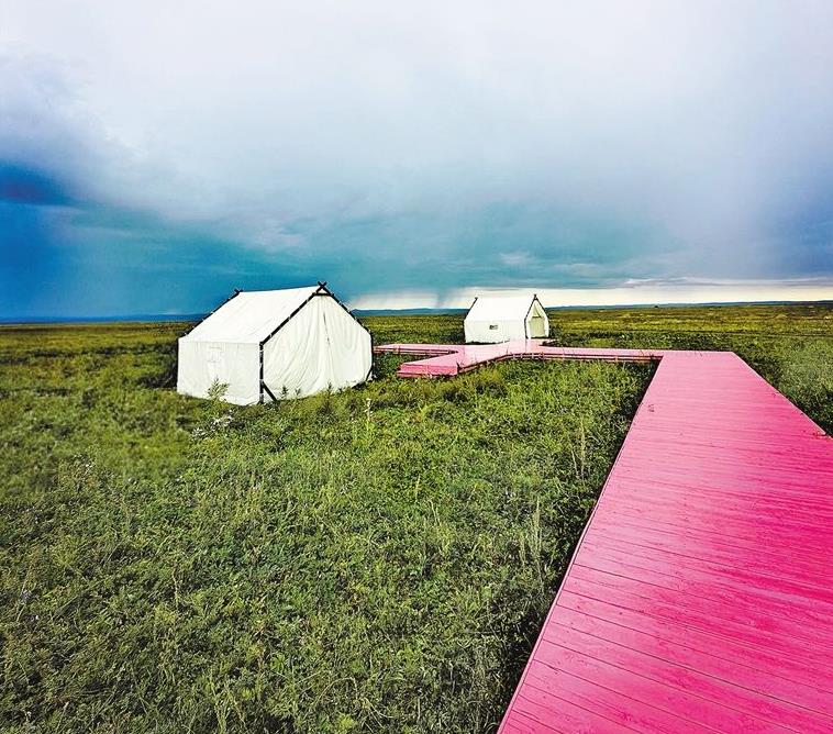 草原上浪漫的坐标