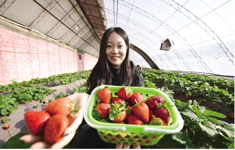 莓好乡村新业态