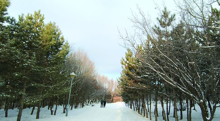 瑞雪添趣 乌兰察布开启冬日赏雪模式