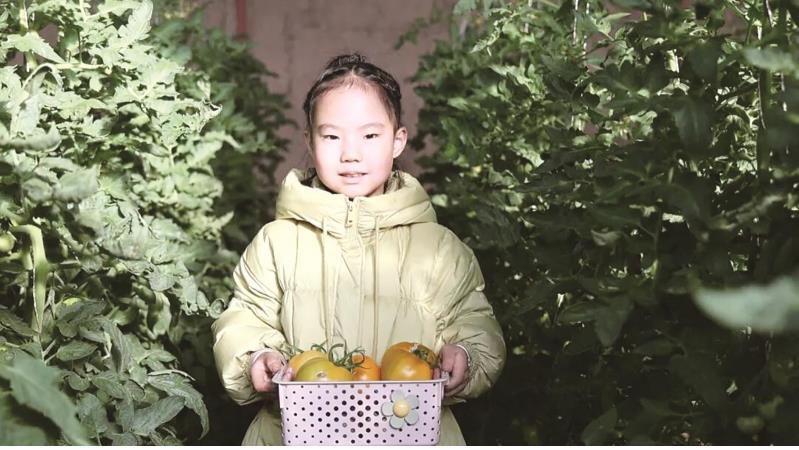 温室果蔬成采摘“团宠”