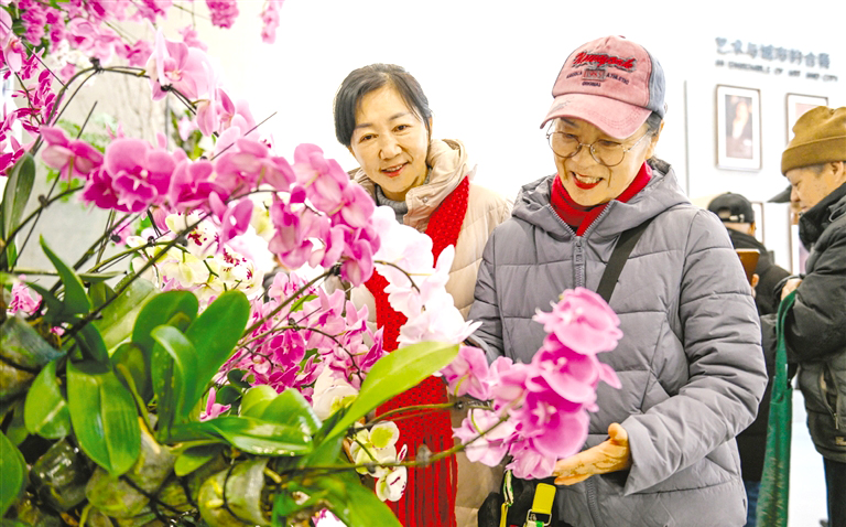 冬日添“兰”香