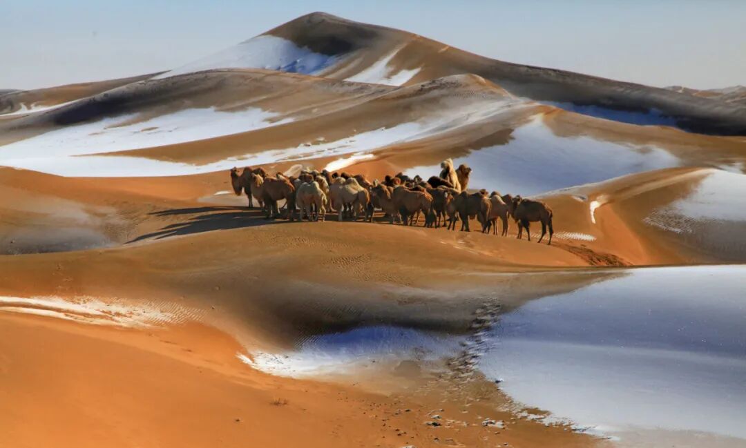 镜见·多彩阿拉善丨大漠行舟