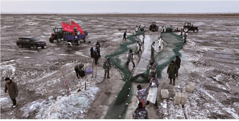 达里湖冬捕正式开始