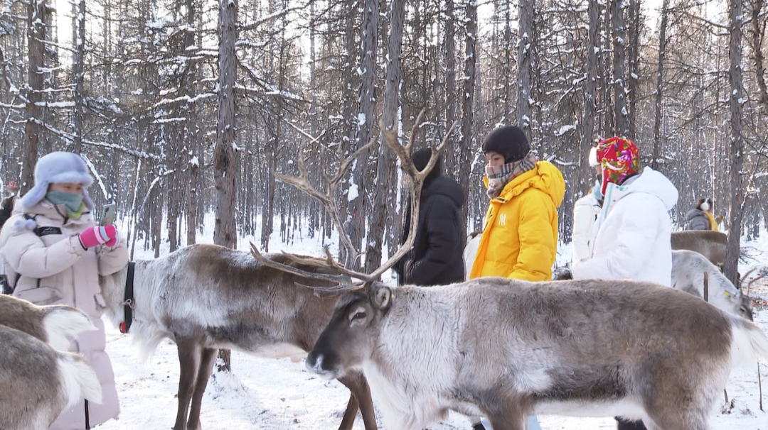呼伦贝尔市：从“猫冬”到“热游”
