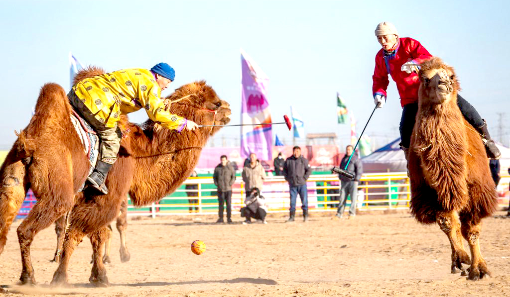 2025阿拉善骆驼超级联赛激战正酣