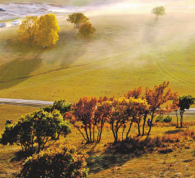 新岁启封春之约