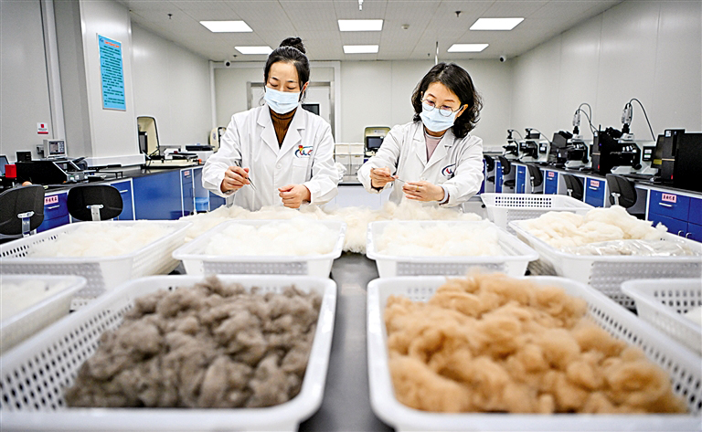 科技提升毛绒产业竞争力