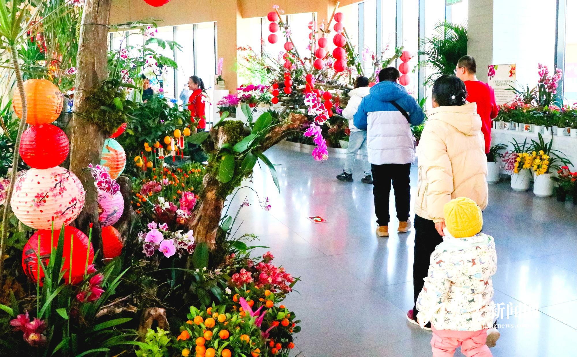 打卡花展5.jpg mmexport1769305197389_edit_14294652708235.jpg