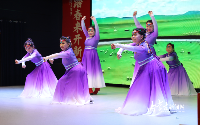 20260206172256_7O2A7828.JPG 20260206172256_7O2A7828.JPG