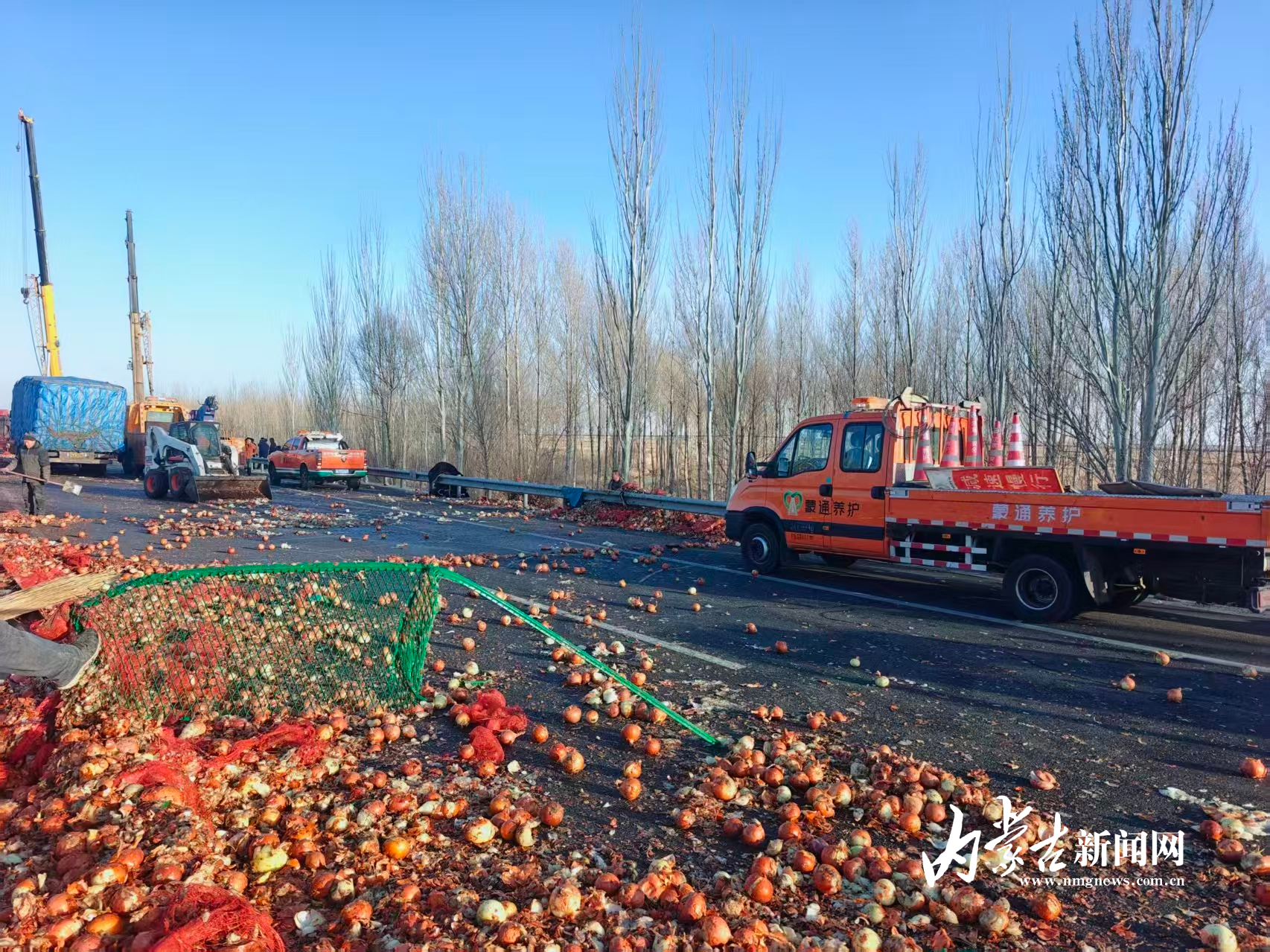 洋葱遍地滚落 mmexport1770813157839.jpg