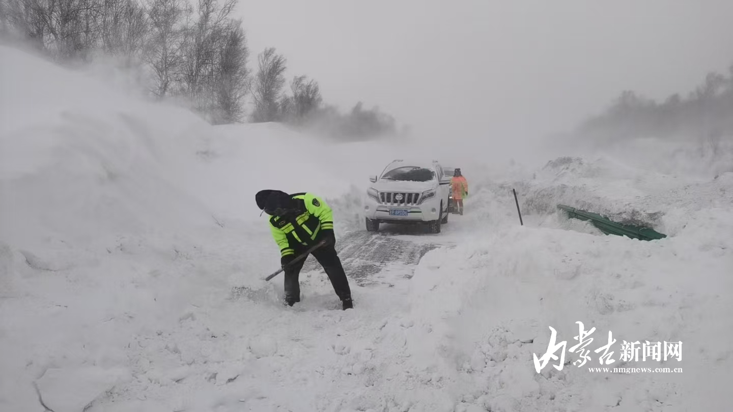 mmexport1771816828889.jpg mmexport1771816828889.jpg