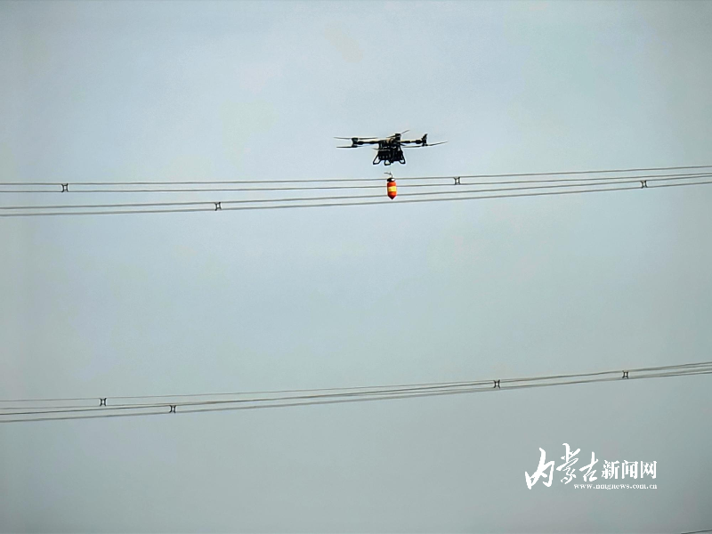 MEITU_20260302_154746489.jpg MEITU_20260302_154746489.jpg