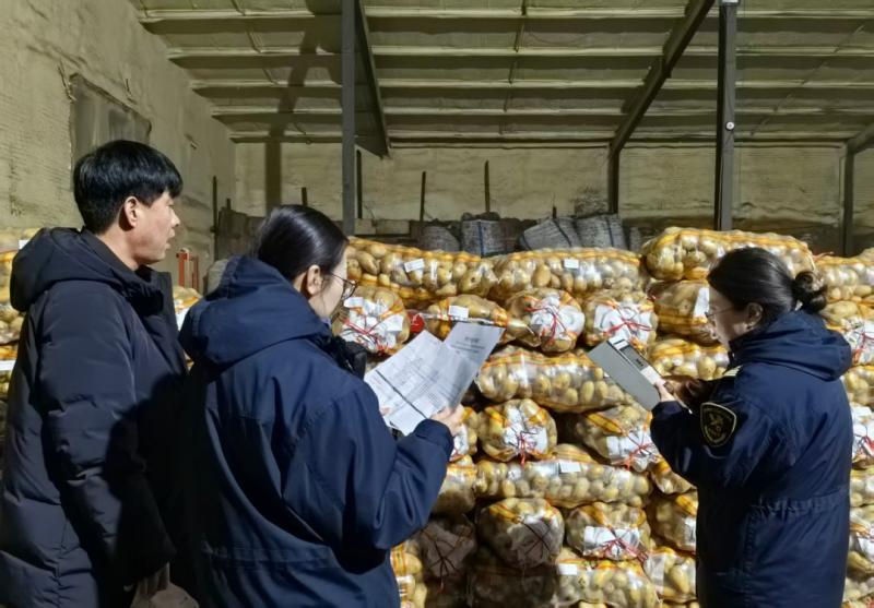 呼伦贝尔的土豆，出息了！