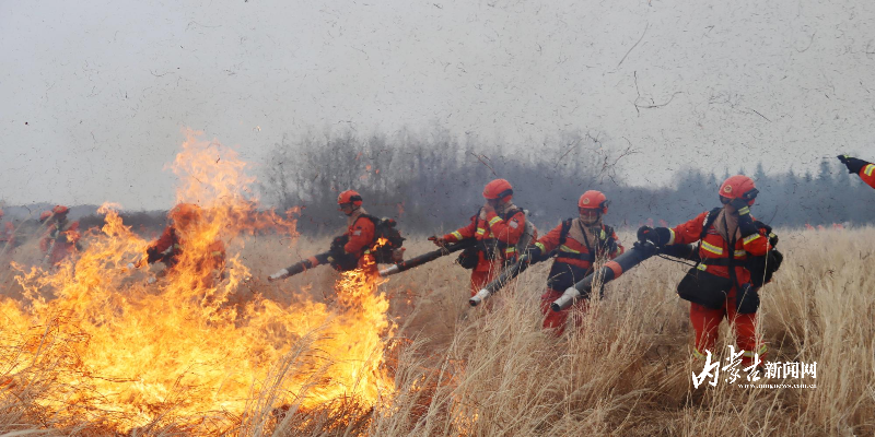 mmexport1774596402075.jpg mmexport1774596402075.jpg