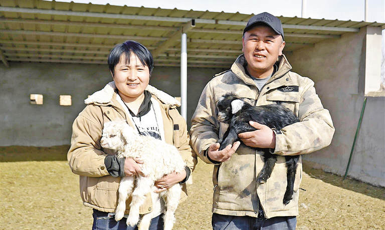接羔保育忙 春暖育希望