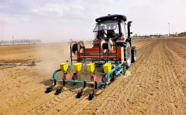 河套玉米開(kāi)播