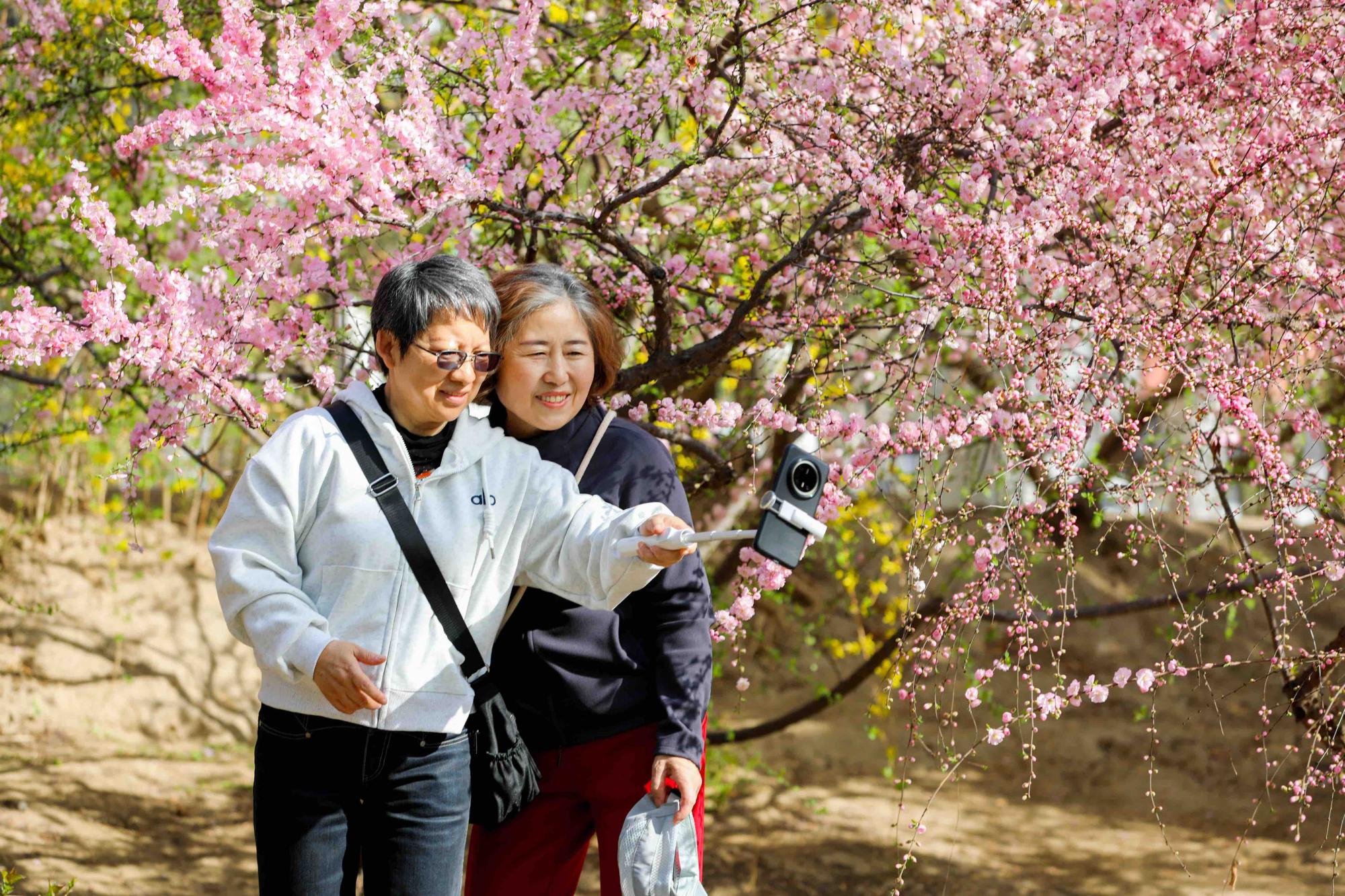 万物复苏春满城